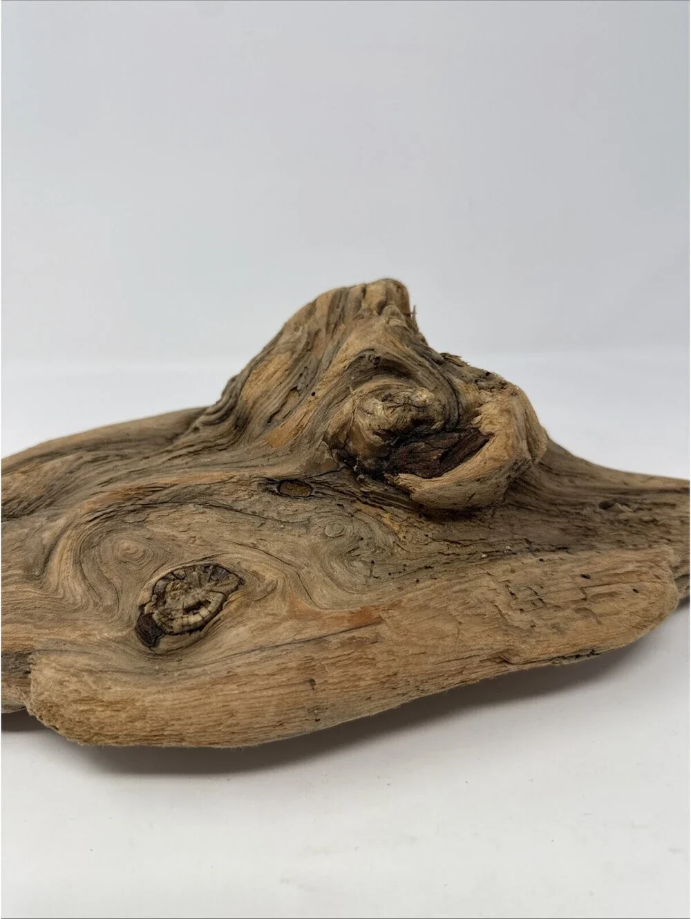 Natural Driftwood Decoration over 18